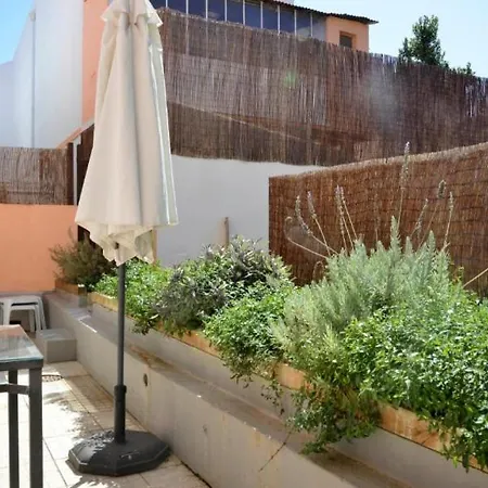 Lightoasis 1 オエイラス